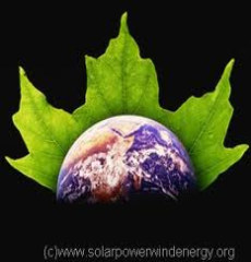 What Can I Do To Help Prevent Global Warming